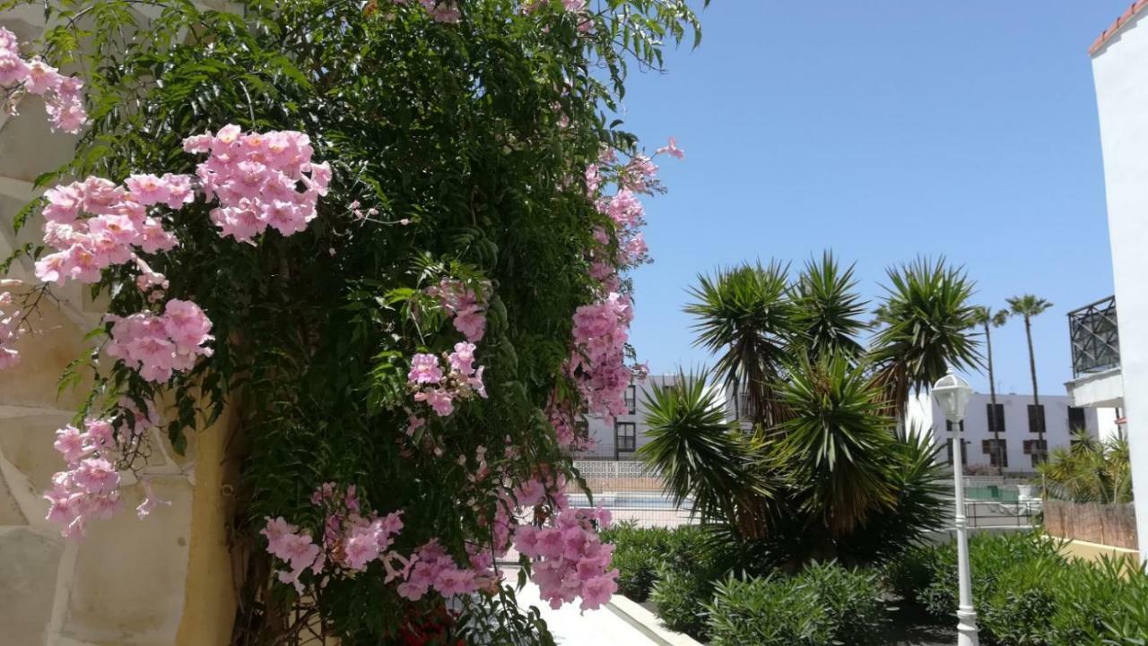 Tenerife Altamar Paradise Playa de las Américas Dış mekan fotoğraf